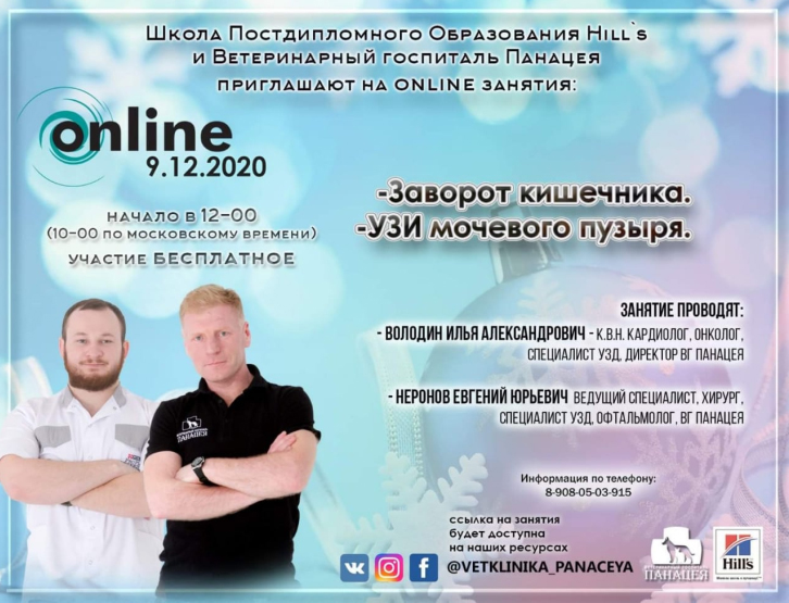 Онлайн-трансляция школы Hill s на тему: Заворот кишечника. УЗИ мочевого пузыря
