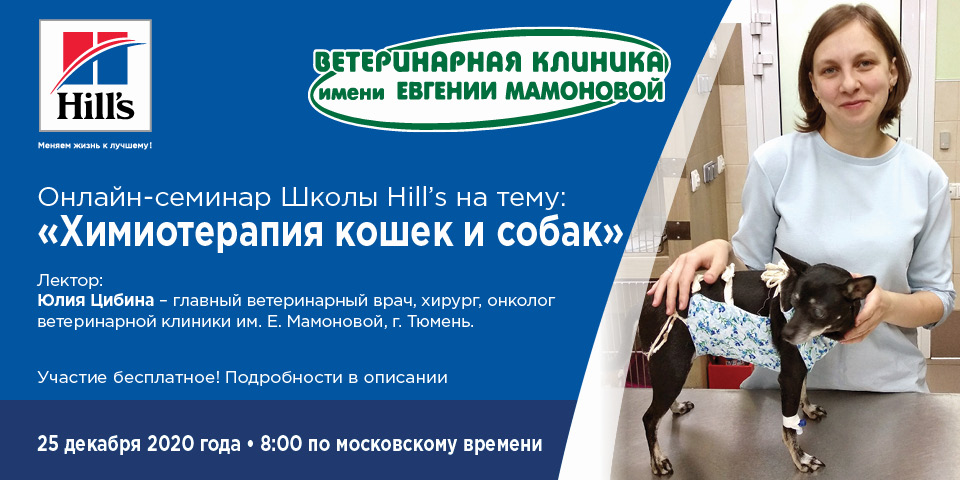 Онлайн-семинар Школы Hill s на тему:  "Химиотерапия кошек и собак"