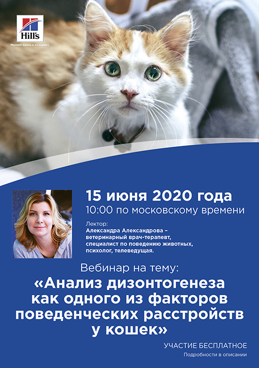 Интерактивная онлайн-трансляция по зоопсихологии на тему: Анализ дизонтогенеза как одного из факторов поведенческих расстройств у кошек