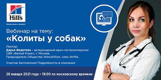 Вебинар на тему: "Колиты у собак"