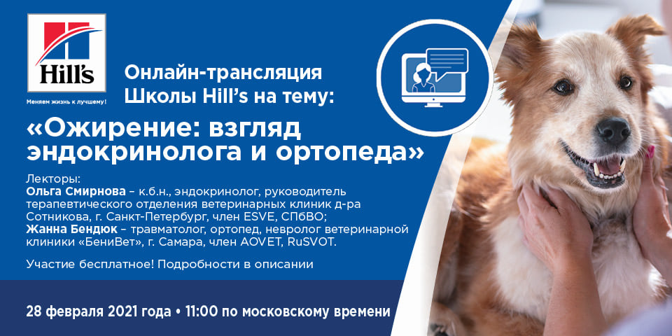 Онлайн-трансляция семинара Школы Hill s: Ожирение: взгляд эндокринолога и ортопеда