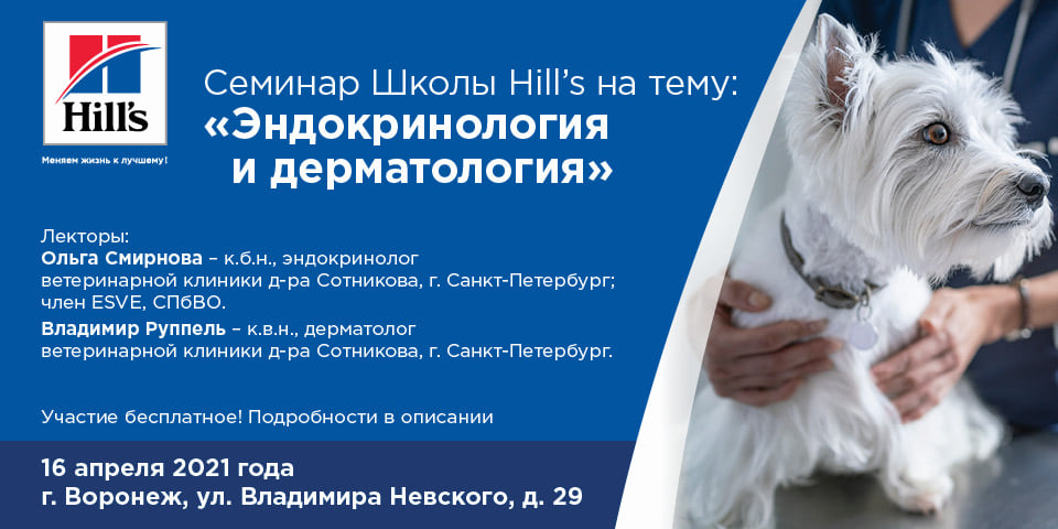 Семинар 16 апреля: Эндокринология и дерматология