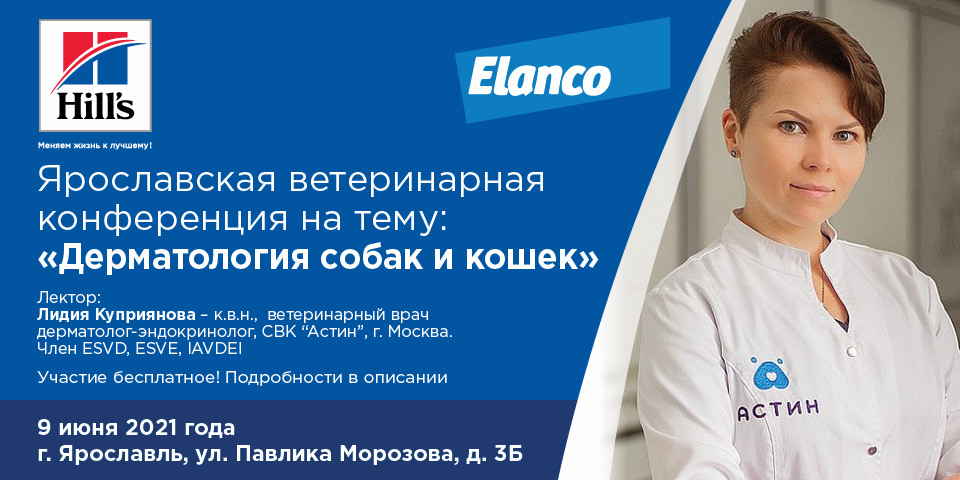 Конференция 9 июня: Дерматология собак и кошек