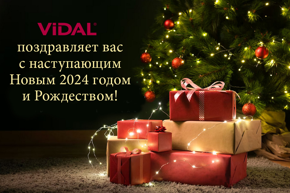 ВИДАЛЬ поздравляет вас с Новым 2024 годом и Рождеством!