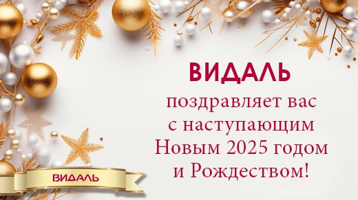 ВИДАЛЬ поздравляет вас с Новым 2025 годом и Рождеством!