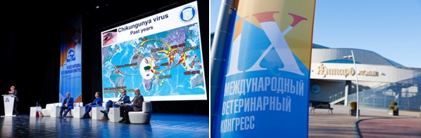 Единый мир – единое здоровье!