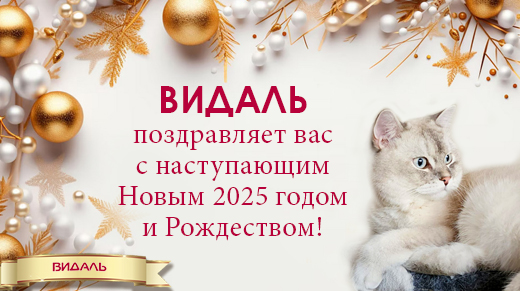 ВИДАЛЬ поздравляет вас с Новым 2025 годом и Рождеством!