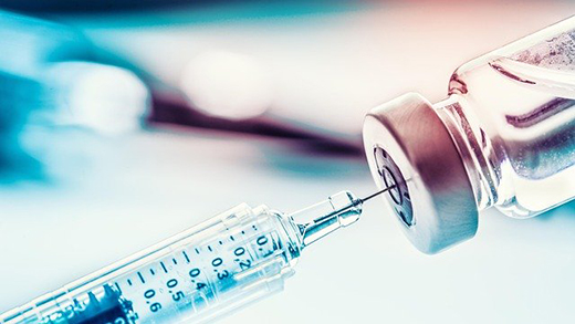 Ученые ВНИИЗЖ разработали вакцину против стрептококкоза свиней