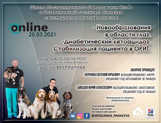 Школа Хиллс и ветеринарный госпиталь Панацея приглашают на онлайн занятия: Новообразования в области глаз. Диабетический кетоацидоз. Стабилизация пациента ОРИТ.