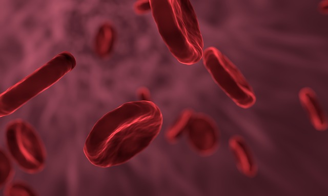 FDA одобрило первую клеточную генную терапию бета-талассемии