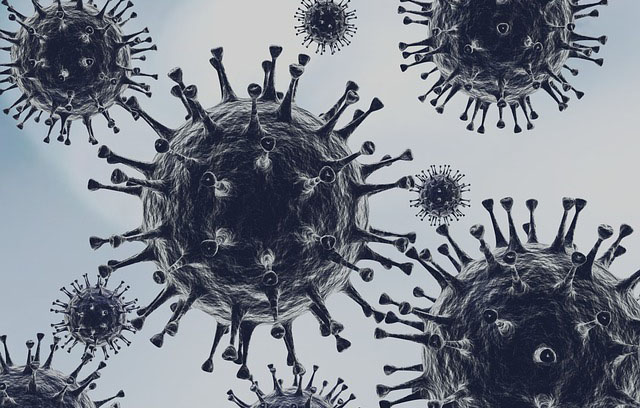 COVID-19: Pfizer запрашивает у FDA экстренную регистрацию нового препарата Paxlovid