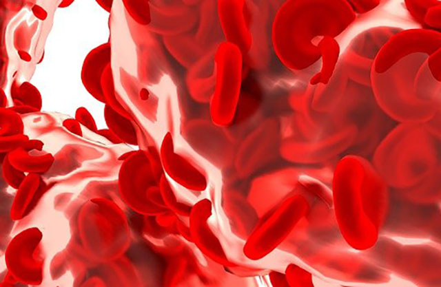 FDA одобрило первую профилактическую терапию острой реакции трансплантат против хозяина