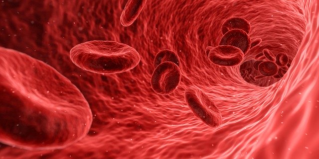 Первый препарат для лечения острой печеночной порфирии одобрен FDA