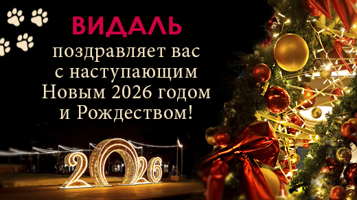 ВИДАЛЬ поздравляет вас с Новым 2026 годом и Рождеством!
