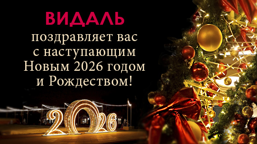 ВИДАЛЬ поздравляет вас с Новым 2026 годом и Рождеством!