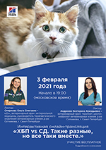 Интерактивная онлайн-трансляция: «ХБП vs СД. Такие разные, но все-таки вместе»