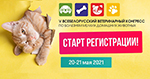 V Всебелорусский Ветеринарный Конгресс по болезням мелких домашних животных