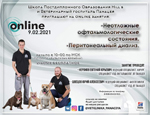 Онлайн-семинар Школы Hill s на тему: «Неотложные офтальмологические состояния. Перитонеальный диализ»