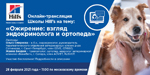 Онлайн-трансляция семинара Школы Hill s: «Ожирение: взгляд эндокринолога и ортопеда»