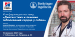 Конференция по ветеринарной кардиологии на тему: «5 простых шагов для выявления и лечения заболеваний сердца у собак»