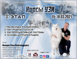 Курсы УЗИ, 2 этап: 15-18 марта