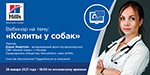 Вебинар на тему: "Колиты у собак"