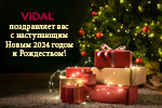 ВИДАЛЬ поздравляет вас с Новым 2024 годом и Рождеством!
