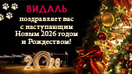 ВИДАЛЬ поздравляет вас с Новым 2026 годом и Рождеством!