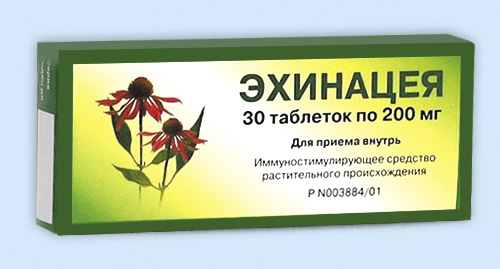 Эхинацея
