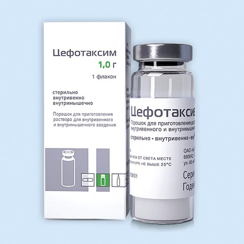 Цефотаксим