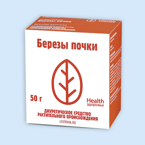 Березы почки