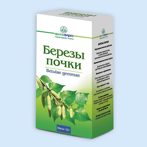 Березы почки