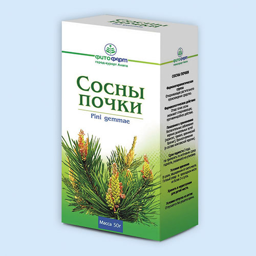 Сосны почки