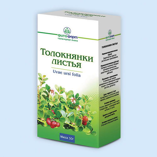 Толокнянки листья