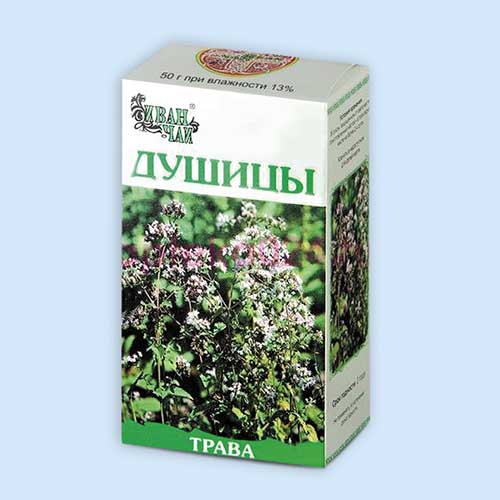 Душицы трава
