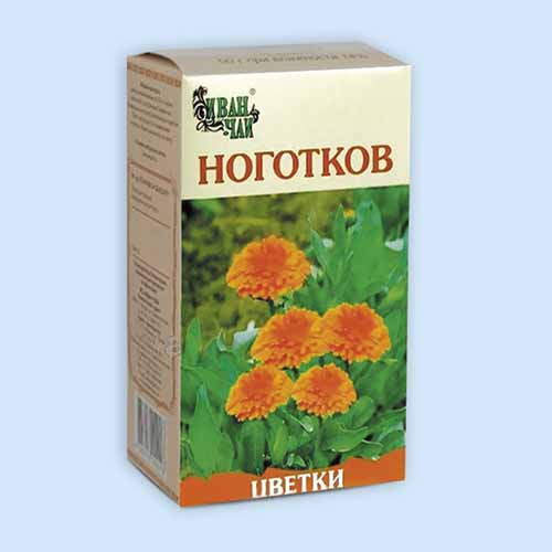 Ноготков цветки