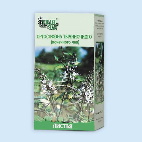 Ортосифона тычиночного (Почечного чая) листья