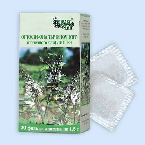 Ортосифона тычиночного (Почечного чая) листья