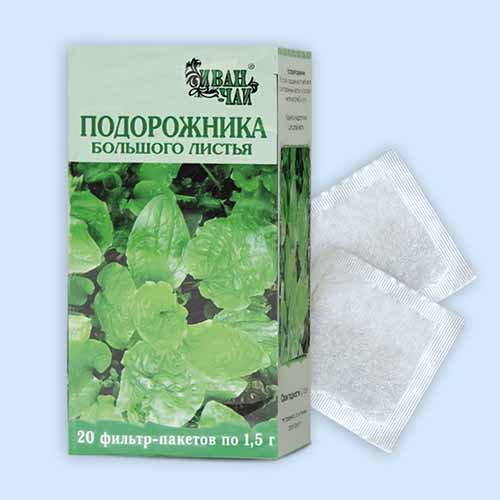 Подорожника большого листья