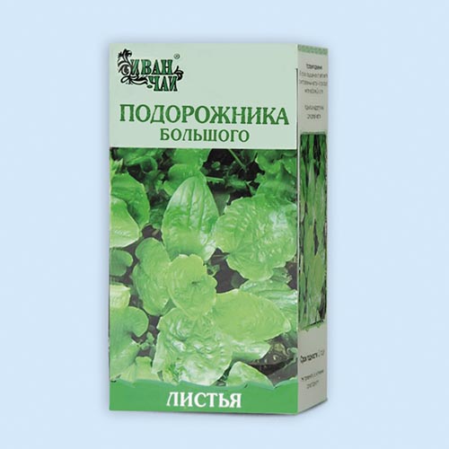Подорожника большого листья
