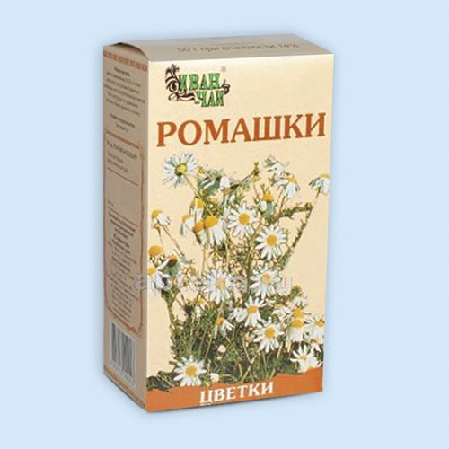 Ромашки цветки