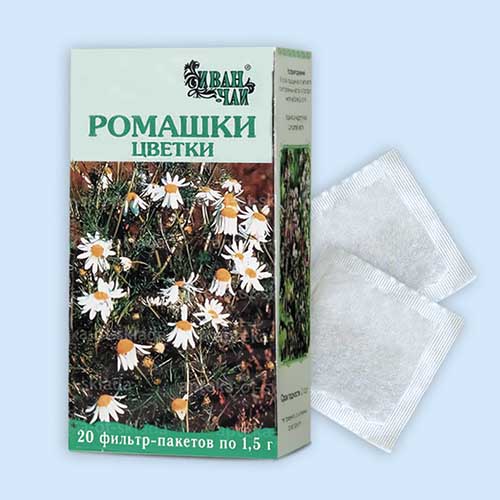 Ромашки цветки