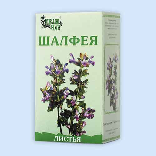 Шалфея листья