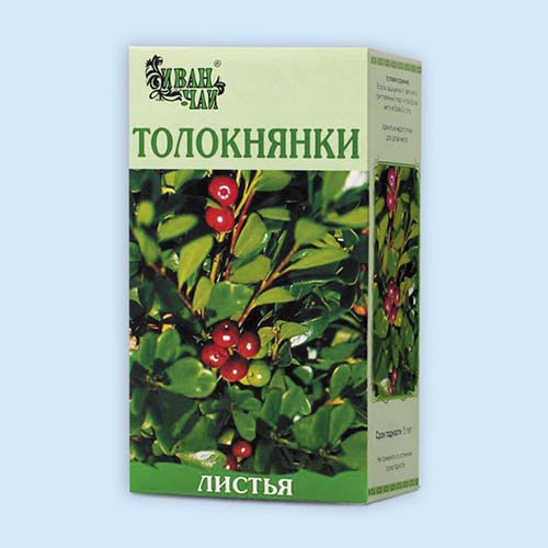 Толокнянки листья