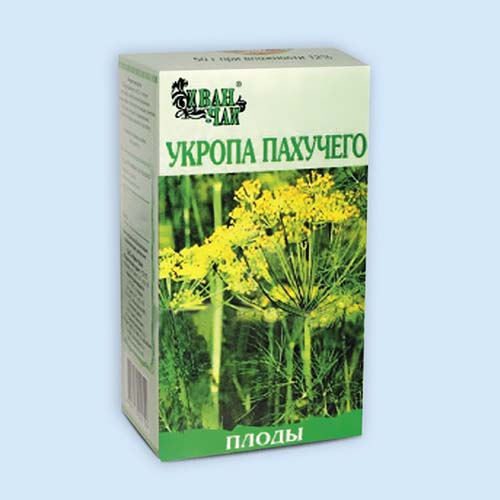 Укропа пахучего плоды