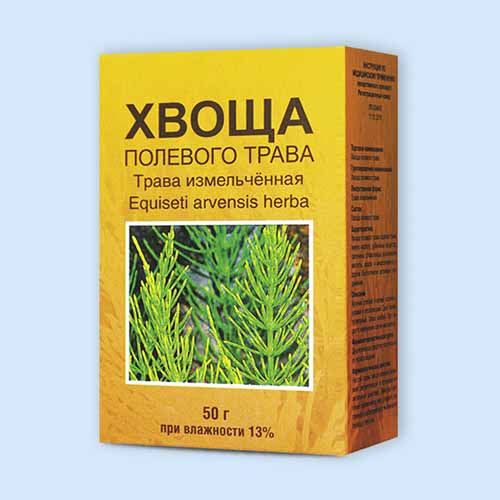 Хвоща полевого трава