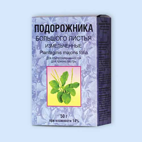 Подорожника большого листья