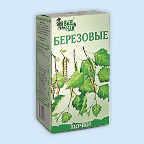 Березы почки