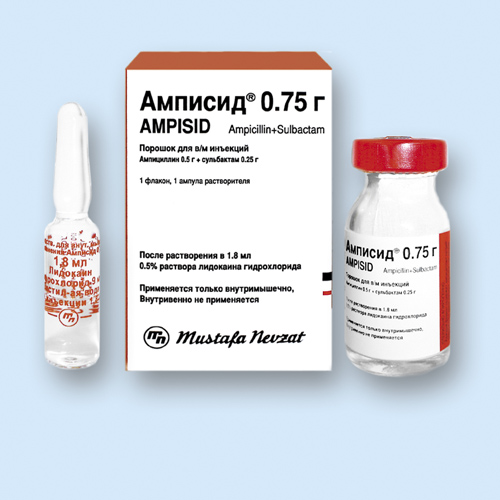 Амписид