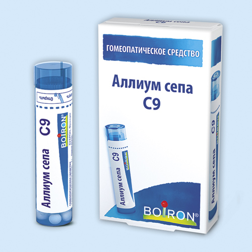 Аллиум сепа